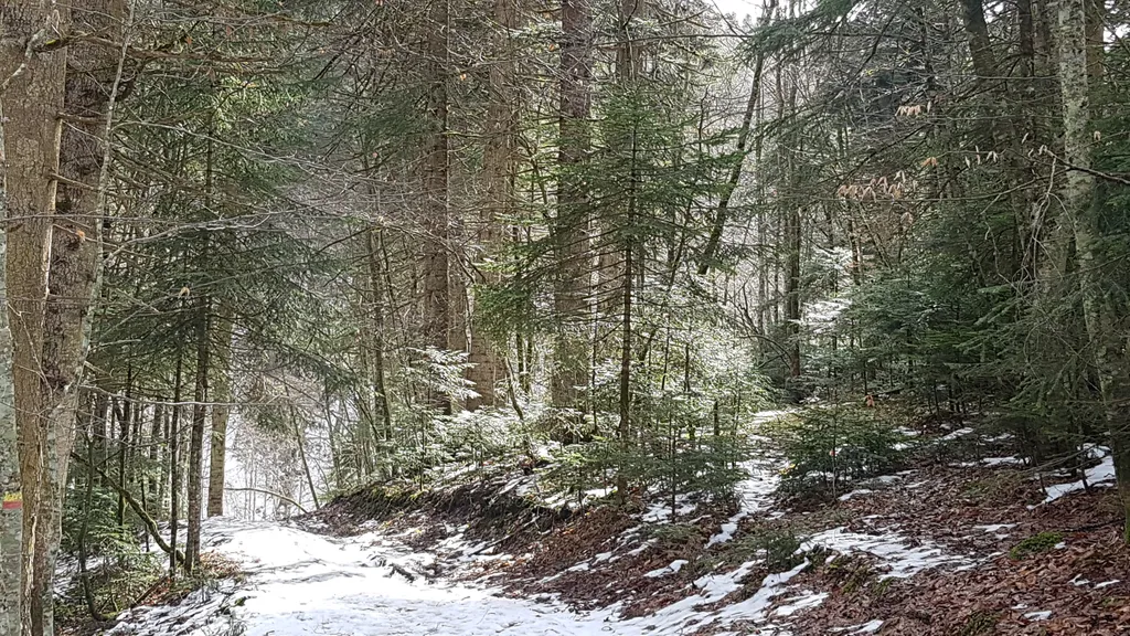 Коттедж Коттедж Белый Сруб — Мезмай