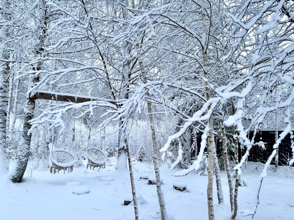 Домик с видом на лес