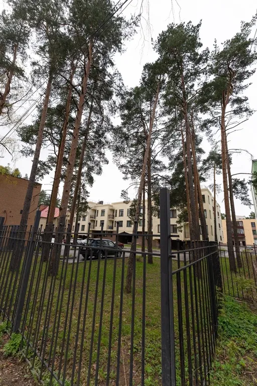 Апартаменты в центре в окружении сосен