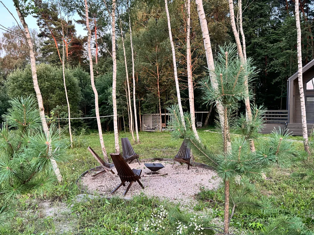 Барнхаус в окружении леса – здесь время течет иначе