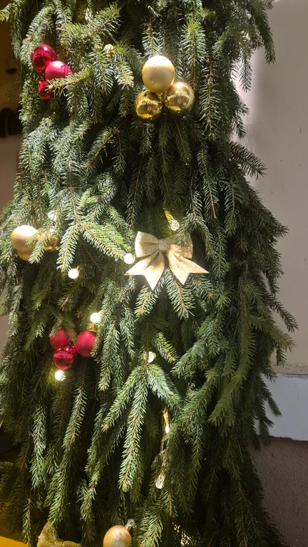 Апартаменты в историческом центре