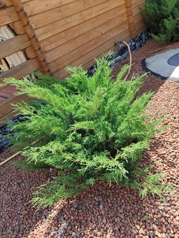 Коттедж на территории частного домовладения