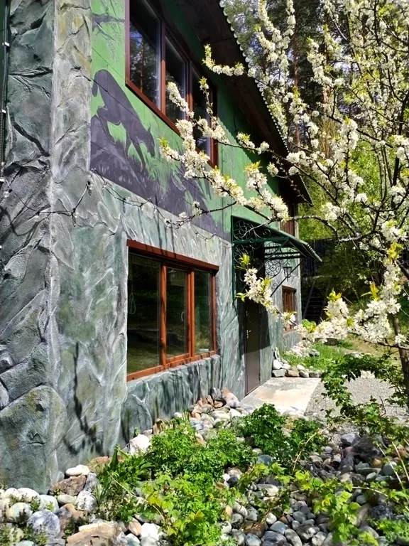 Дом в сосновом лесу