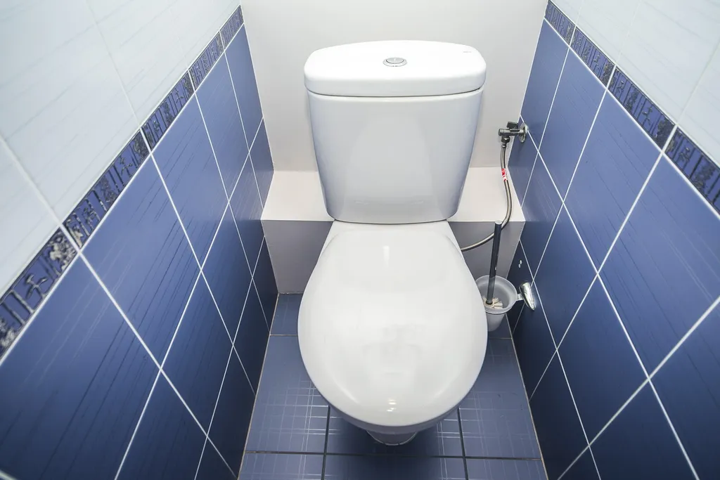 Квартира 3-комнатная Квартира — Минск