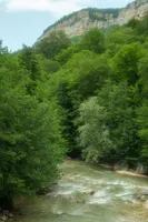 bereg