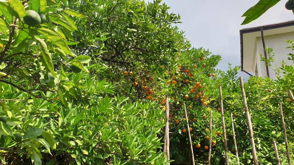 Дом для отдыха