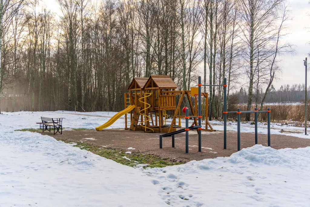 Дом с видом на лес