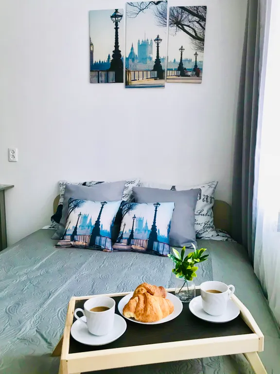 Уютная студия с видом на атмосферную телевышку