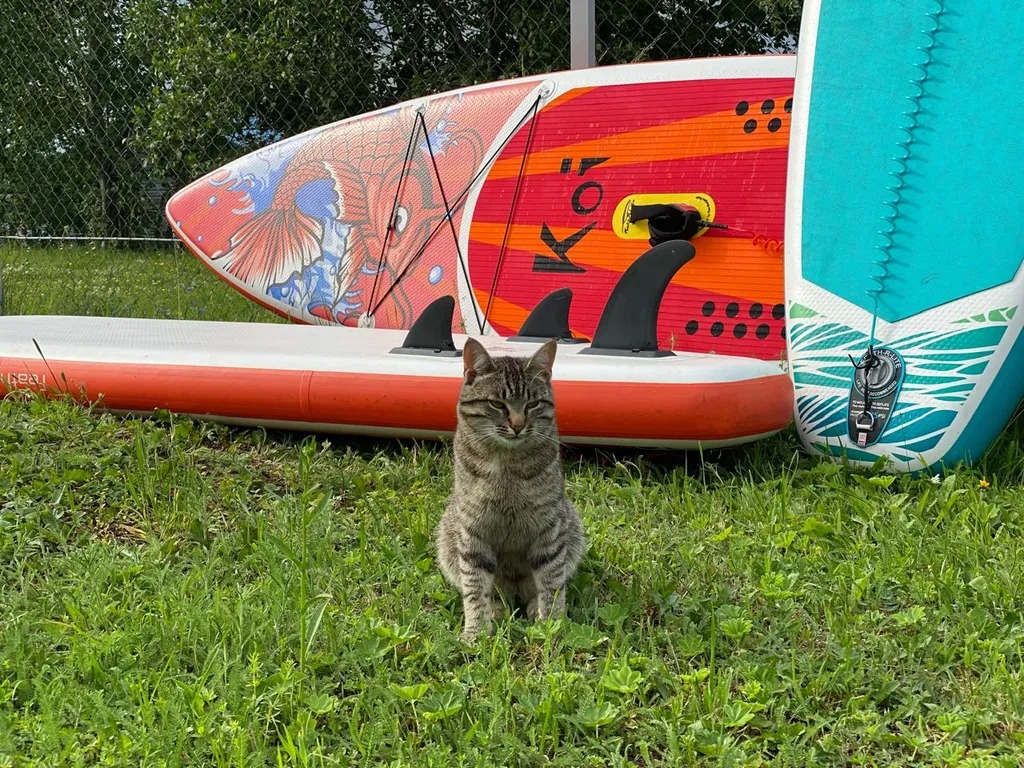 Дом у реки Дубна на первой линии