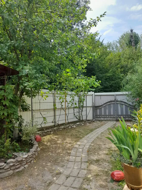 Дом с видом на горы