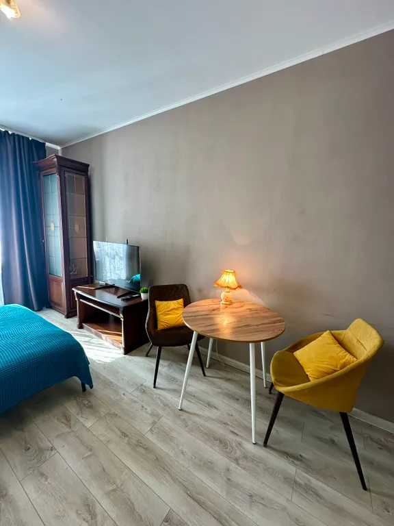 Квартира студия с видом на Неву