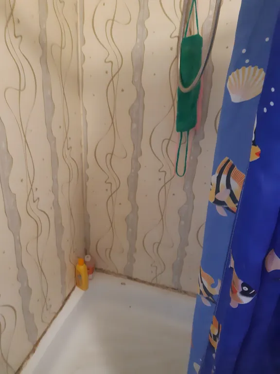 Коттедж Коттедж Уютная дача — Широчанка