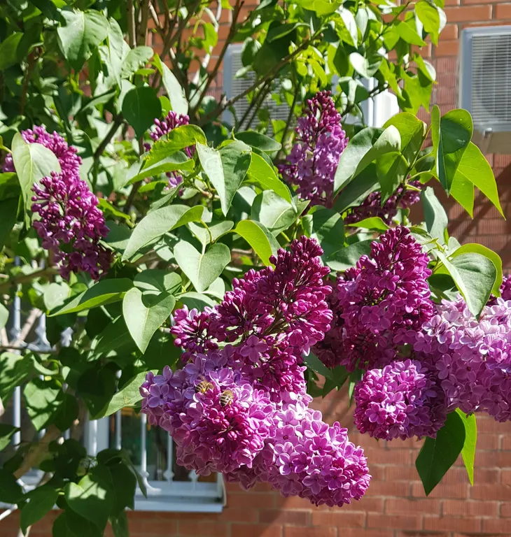 Квартира Комната с видом на горы — Геленджик