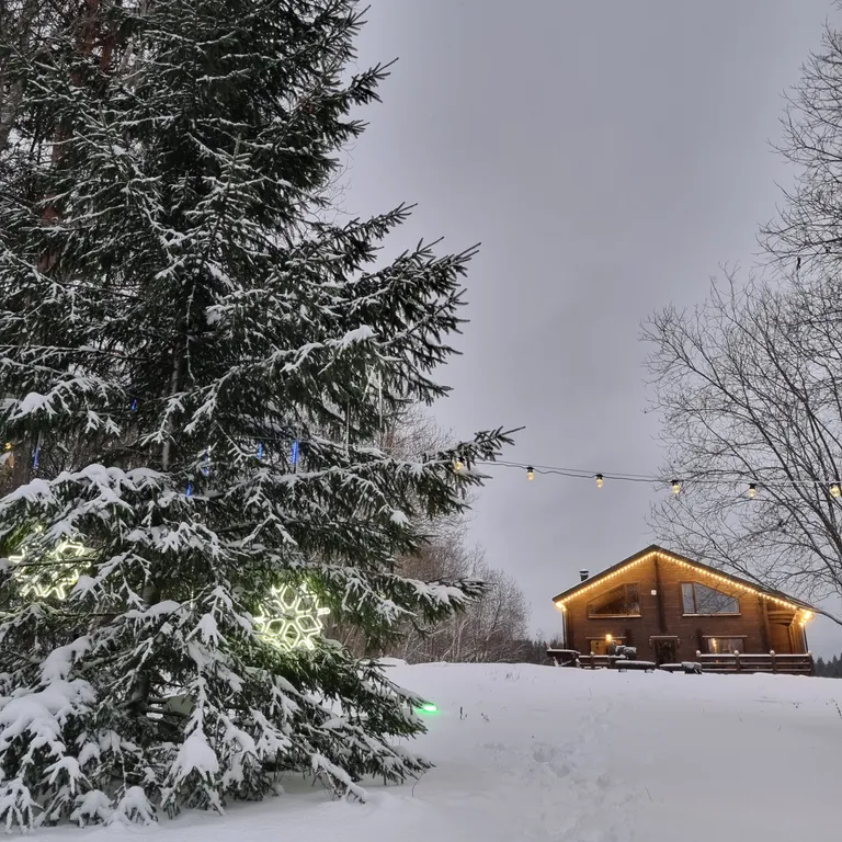 Дом Talotonttu на холме в окружении леса