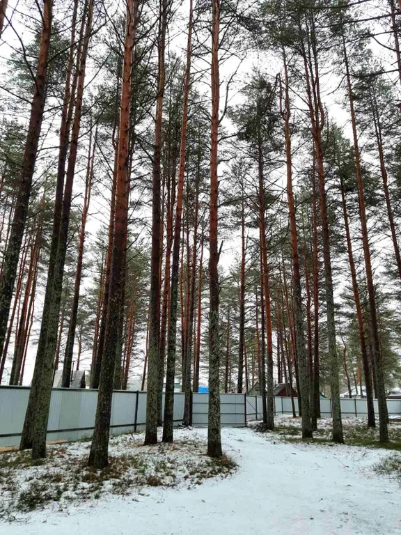 Дом для семьи на берегу озера Сямозеро Карелия