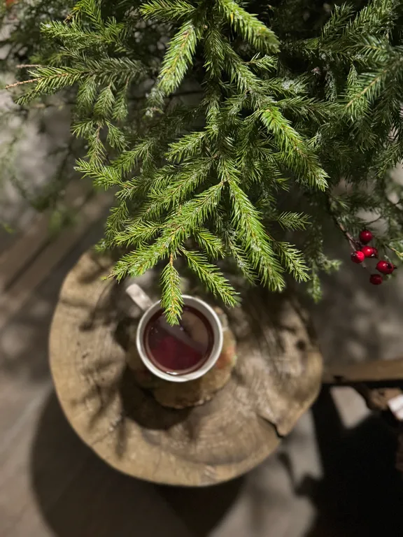 Коттедж Уютный дом на опушке леса с баней и сибирским банным чаном — Москва