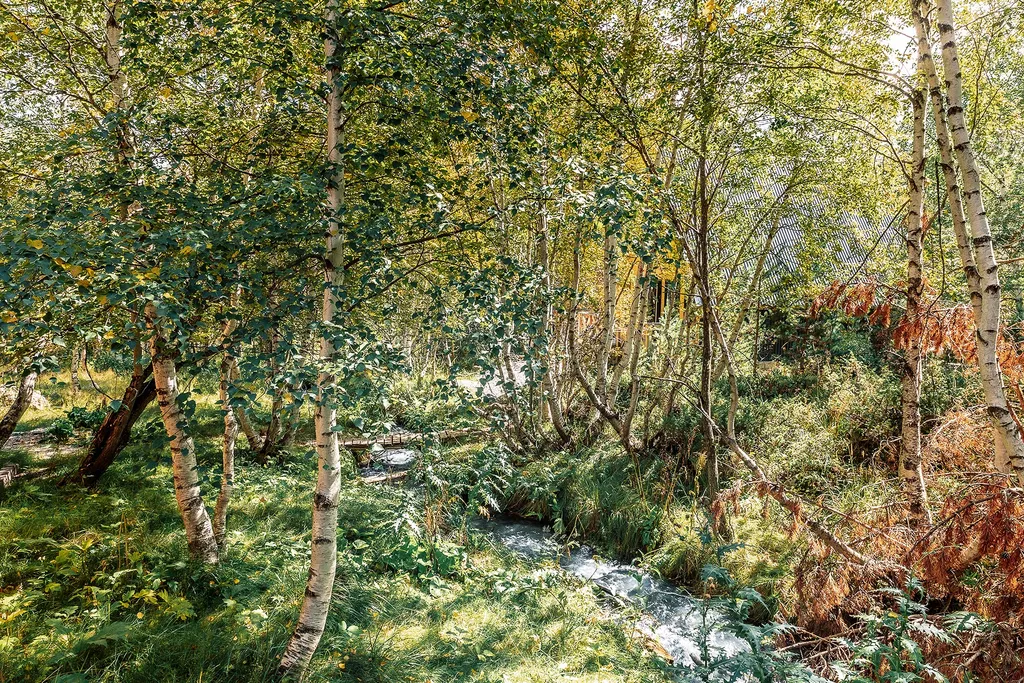 Просторный коттедж