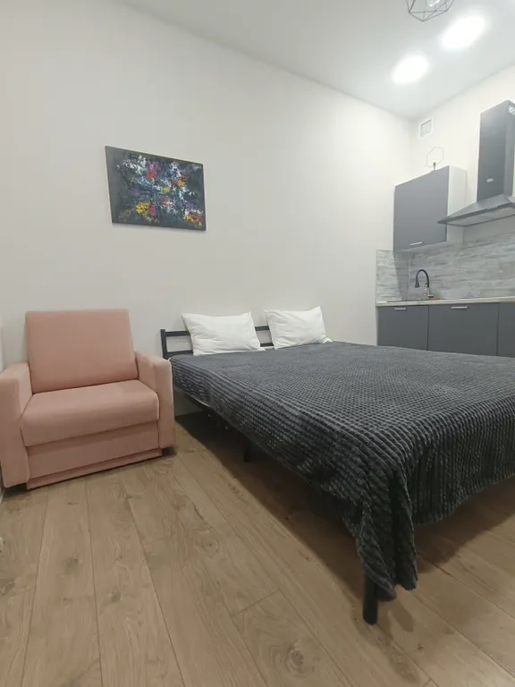 Студия у ледового дворца Молодежный