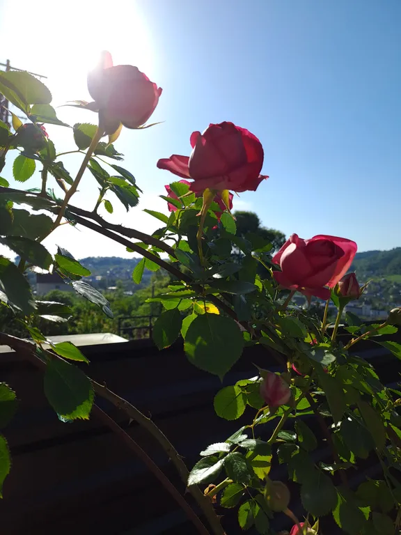 Коттедж под ключ у Черного моря