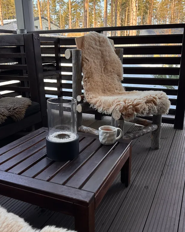 Шале в сосновом бору