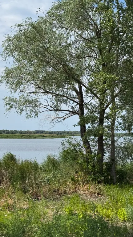 Дом у Волги