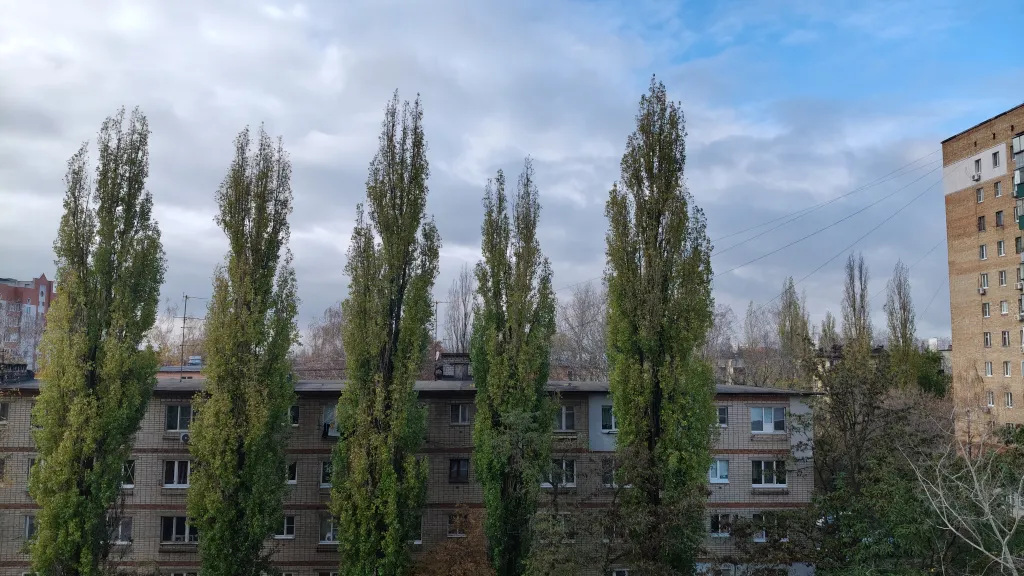 Уютная квартира Зелёный дворик
