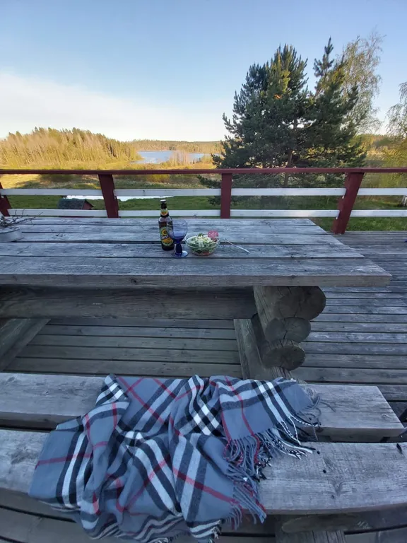 На Ладоге Брусничный