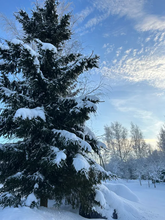 Домик рядом Сорочаны, Волен