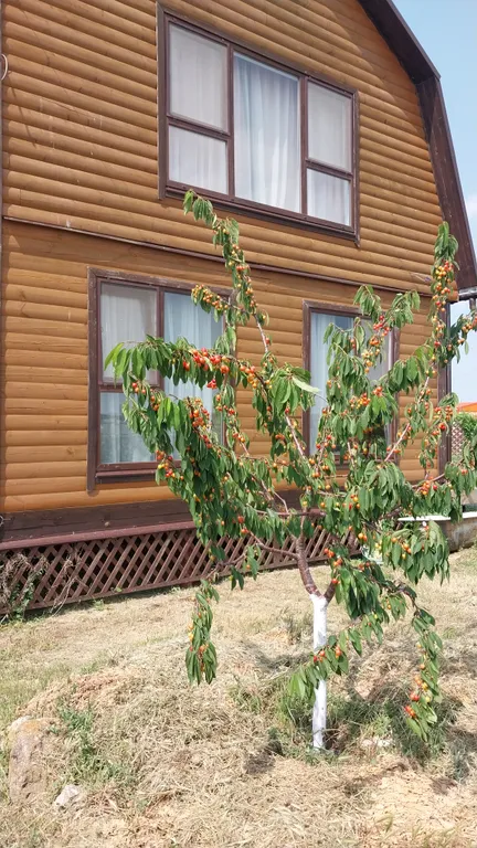 Коттедж Сдам дом в Яковенково — Яковенково