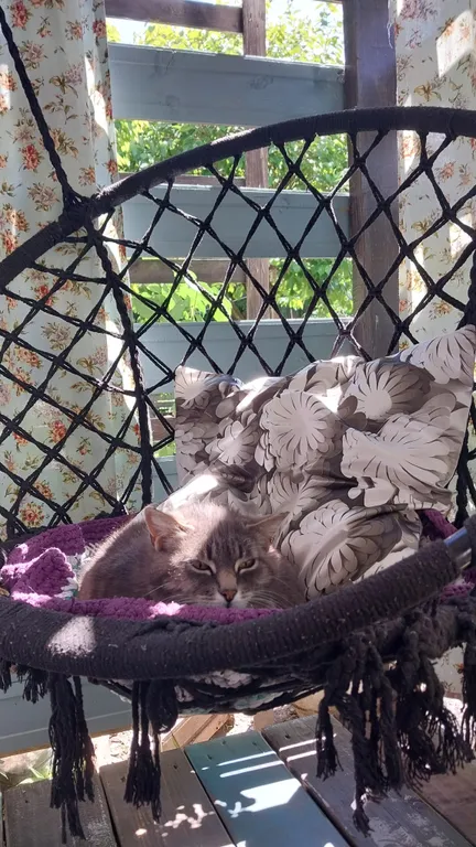 Домик с удобствами и кухней Персиковая поляна