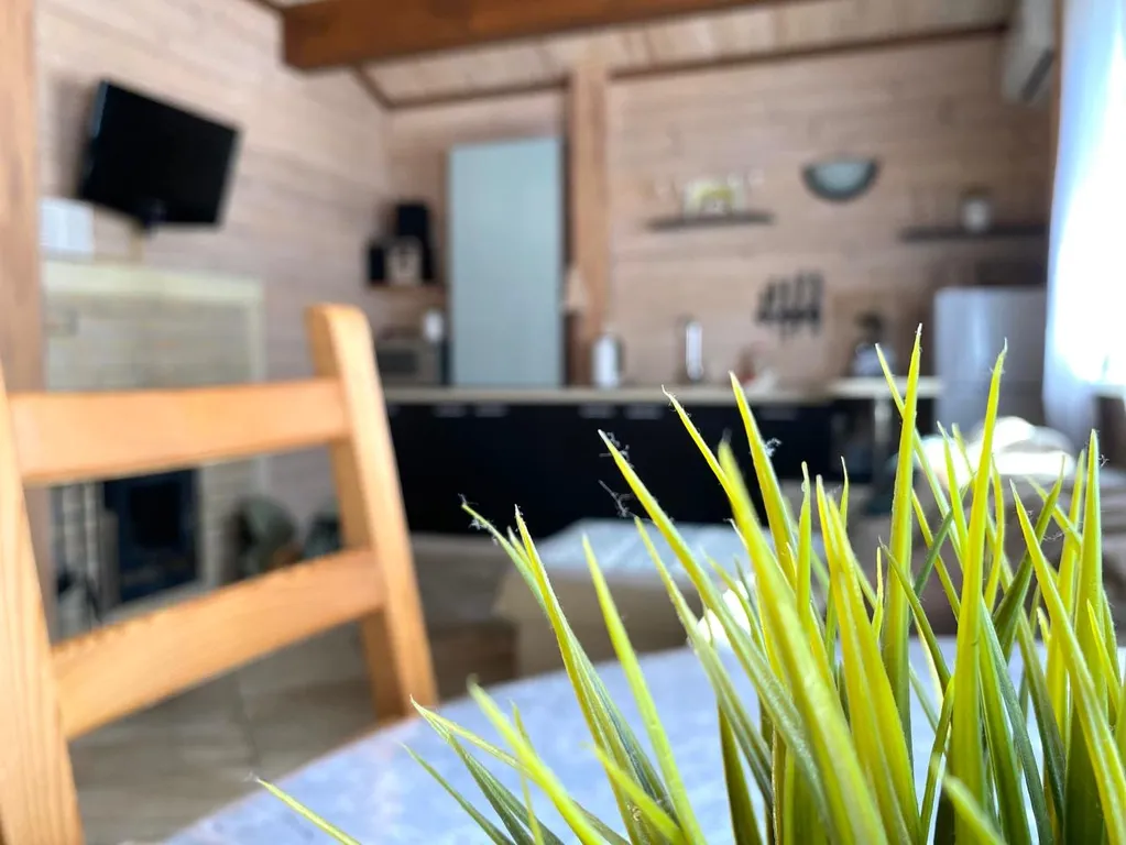 Деревянный домик с русской банькой в Большой Царевщине