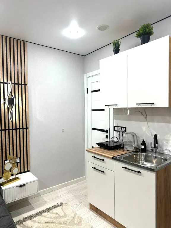 Современная студия в центре