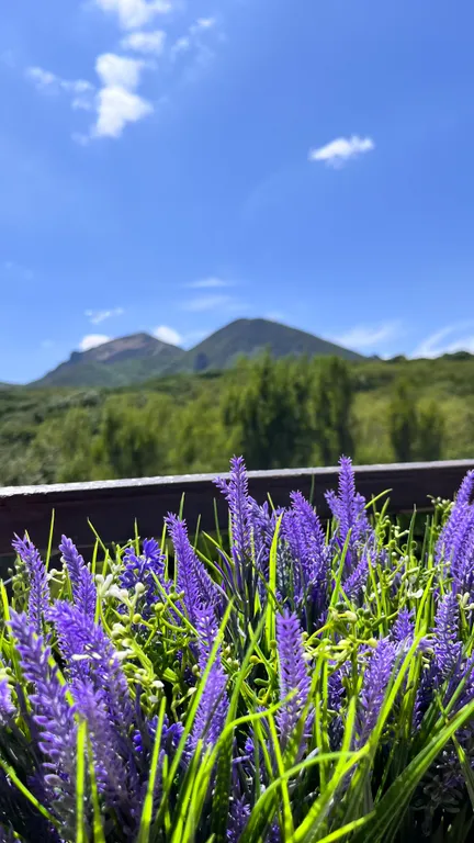 Апартаменты Отдыхъ на Водахъ