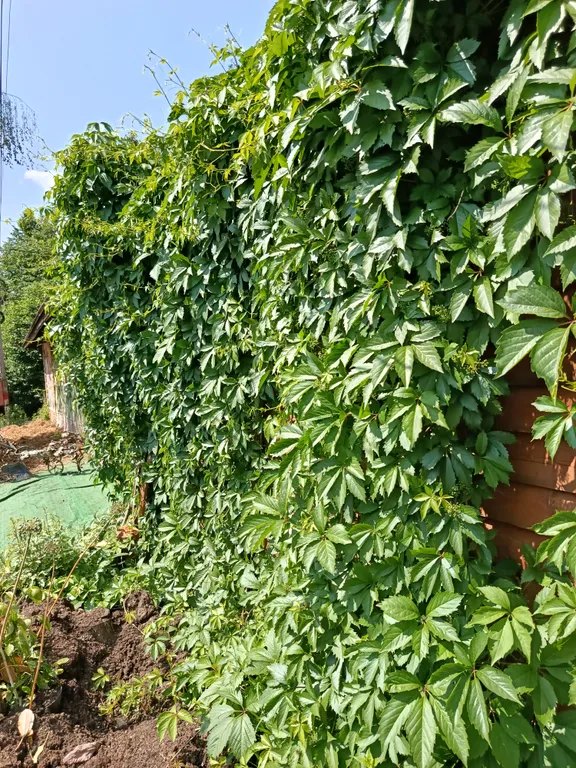 Дом на Зеленоградской в Саду