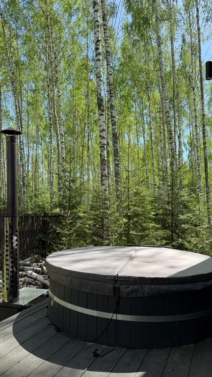 Коттедж Панорамный дом в окружении леса с сауной и чаном — Семеновское