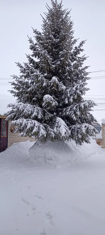 Уютный дом с баней для отдыха в зимний период
