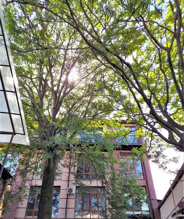 Комфорт и уют в самом центре