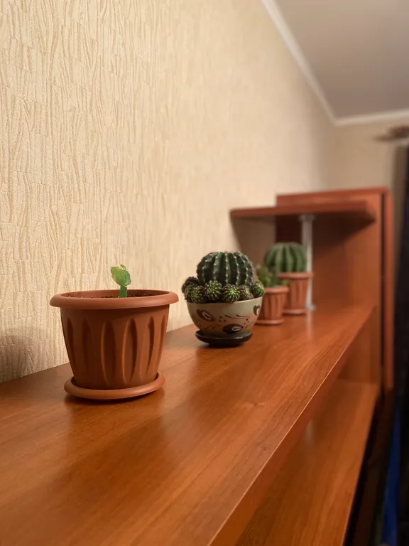 Квартира в центре города