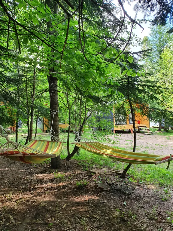 Коттедж Коттедж Шале в лесу — Архыз