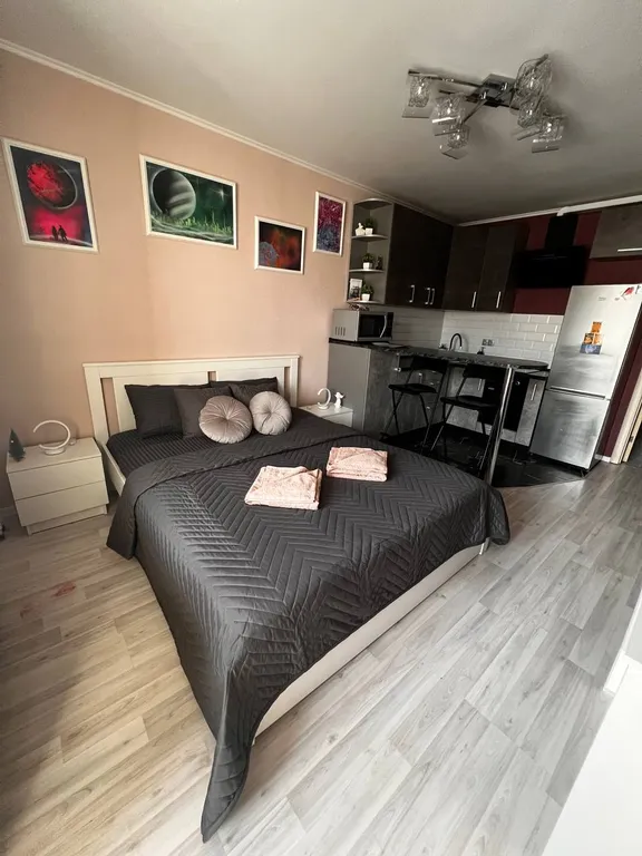 Квартира Квартира-студия Пулково/Экспофорум — Шушары