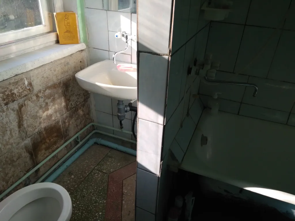 Тихий домик в лесу