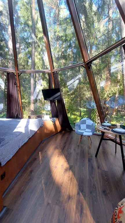 Панорамный дом в сосновом лесу glassy 3