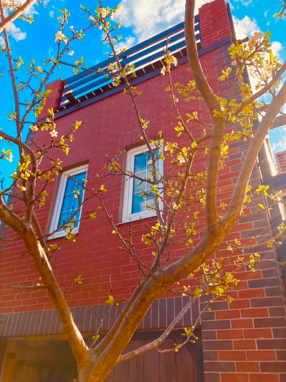 Коттедж Отдельный домик с террасой и зоной барбекю — Калининград