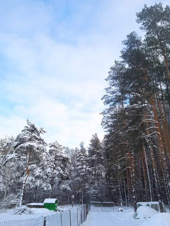 Домик в древнем Гнёздове