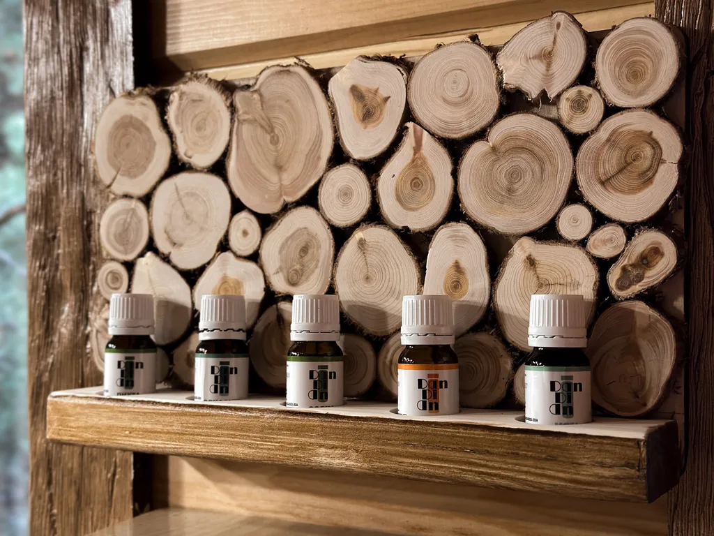 Коттедж Уютный гостевой дом с баней на дровах в сосновом лесу — Павловский Посад