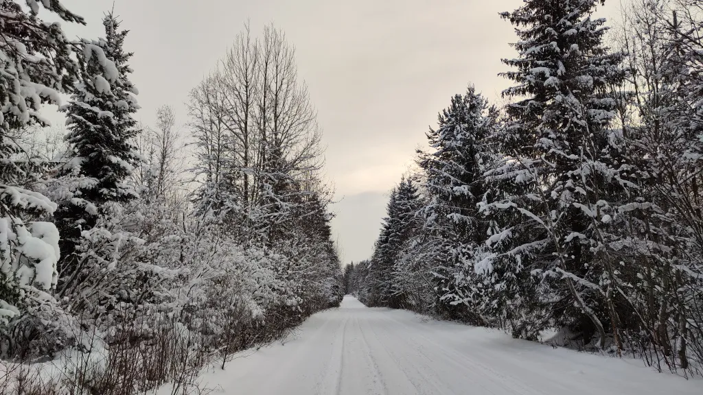 Настоящий деревенский домик в Карелии