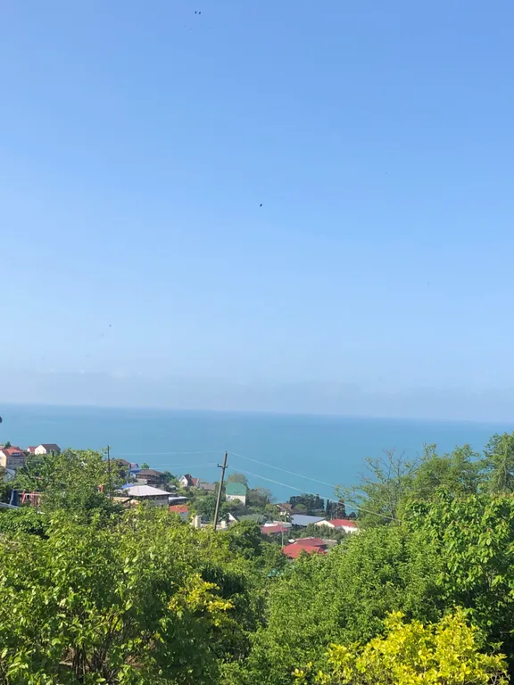 Апартаменты с видом на море и лес