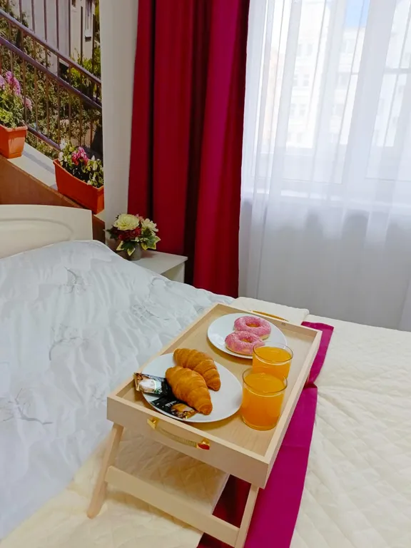 Светлая уютная квартира в центре города