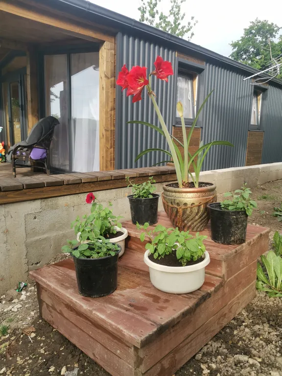 Уютные домики с баней и тёплой купелью