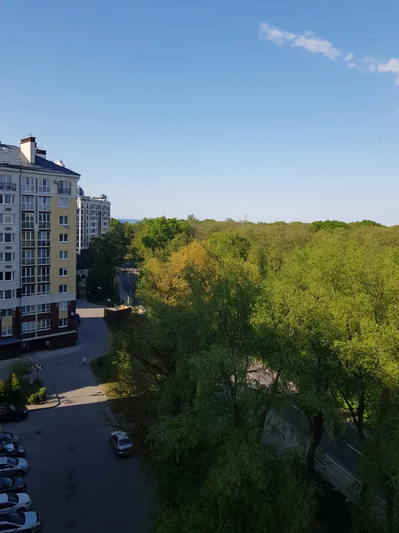 Квартира Уютная квартира с видом на море — Зеленоградск